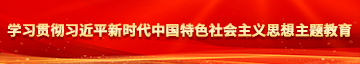 男人插女人穴在线观看视频学习贯彻习近平新时代中国特色社会主义思想主题教育